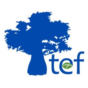 Business Profile